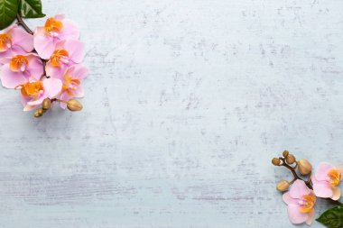 Klasik arka planda orkide çiçekleri. Spa arka planı, spa
