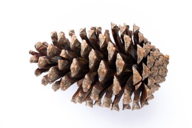 Beyaz bir arka planda Noel dekoru yakın plan. İzole edilmiş - Resim