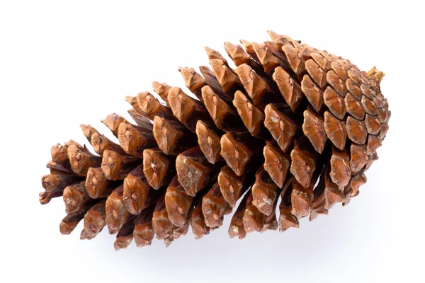 Beyaz bir arka planda Noel dekoru yakın plan. İzole edilmiş - Resim