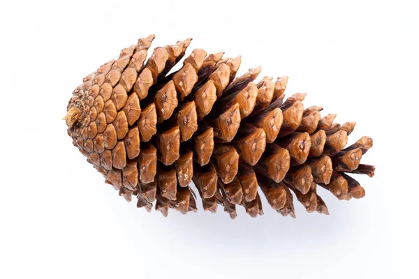 Beyaz bir arka planda Noel dekoru yakın plan. İzole edilmiş - Resim