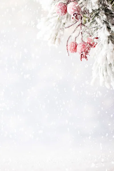 Kerst decoratie met sparren takken op de houten achtergrond. — Stockfoto