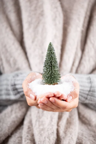 女性の手でクリスマスの装飾。クリスマスのグリーティングカード。女の — ストック写真