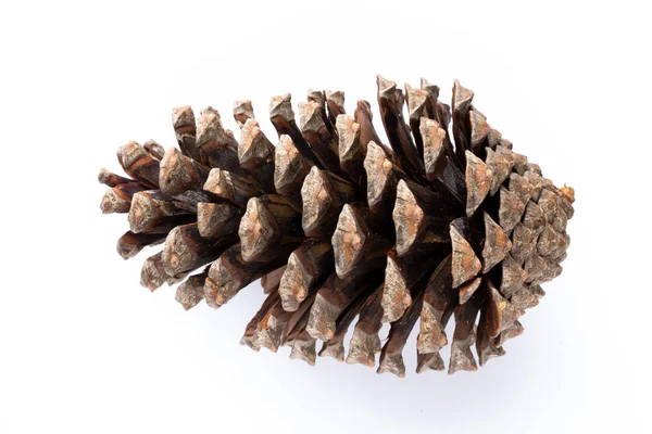 Beyaz bir arka planda Noel dekoru yakın plan. İzole edilmiş - Resim