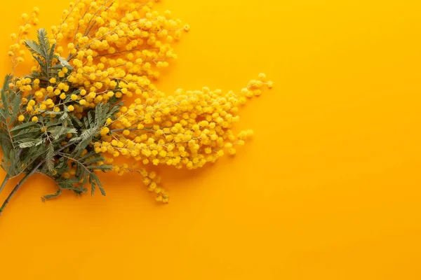Padrão de flor amarela em um fundo amarelo. Saudação Primavera c — Fotografia de Stock