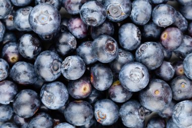 Taze yaban mersini arkaplanı. Doku yaban mersini yakından geliyor..