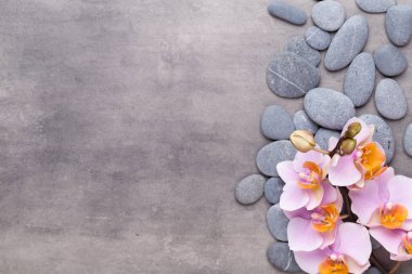 Klasik arka planda orkide çiçekleri. Spa arka planı, spa