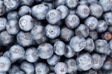 Taze yaban mersini arkaplanı. Doku yaban mersini yakından geliyor..