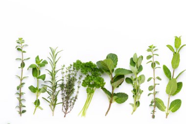 Beyaz bir arka planda bitkisel baharat. Üst görünüm.