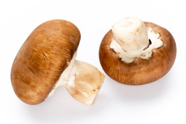 Taze şampiyon mantarları beyazda izole edilmiş.. 