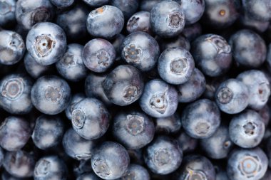 Taze yaban mersini arkaplanı. Doku yaban mersini yakından geliyor..