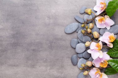 Klasik arka planda orkide çiçekleri. Spa arka planı, spa