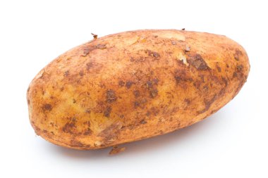 Biyolojik russet patates izole edilmiş beyaz arka plan.