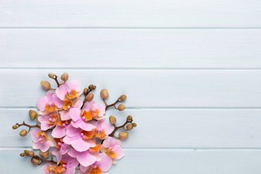 Klasik arka planda orkide çiçekleri. Spa arka planı, spa