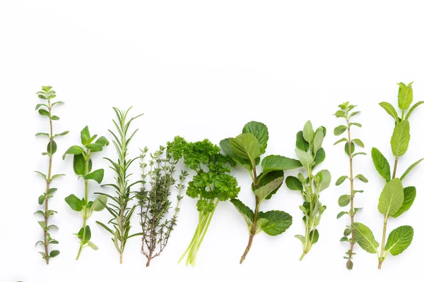 Beyaz bir arka planda bitkisel baharat. Üst görünüm.