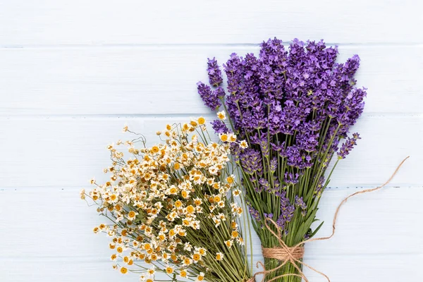 Beyaz arkaplanda lavanta çiçekleri.