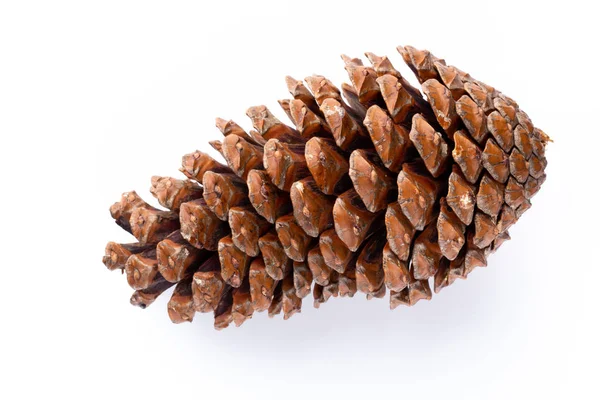 Beyaz bir arka planda Noel dekoru yakın plan. İzole edilmiş - Resim