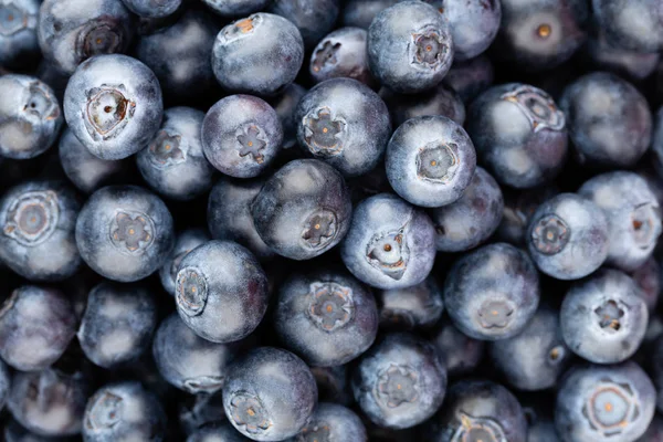Taze yaban mersini arkaplanı. Doku yaban mersini yakından geliyor..