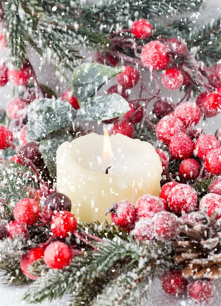 Christmas wreath from red berries, a fur-tree and cones — Stock Photo, Image