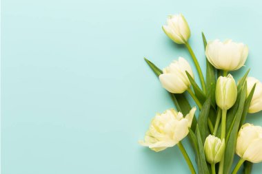 Bahar çiçekleri, pastel renkler zemin üzerine lale. Retro vintag