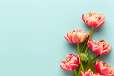 Bahar çiçekleri, pastel renkler zemin üzerine lale. Retro vintag