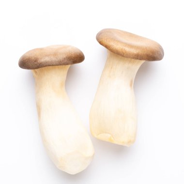 istiridye mantar beyaz zemin üzerine Kral.