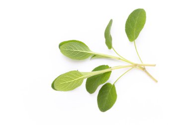 Beyaz bir arka planda bitkisel baharat. Üst görünüm.