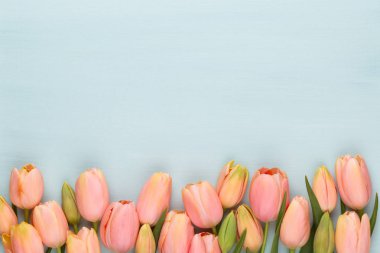 Vintage ahşap arka plan üzerinde pembe lale. Anneler günü tebrik