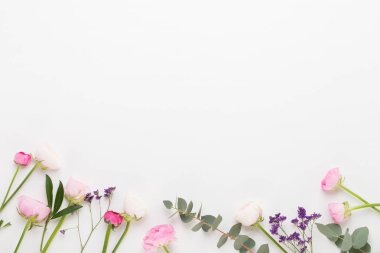 Beyaz bir arka plan üzerinde güzel renkli tipik çiçekler. Sprin
