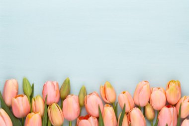 Vintage ahşap arka plan üzerinde pembe lale. Anneler günü tebrik