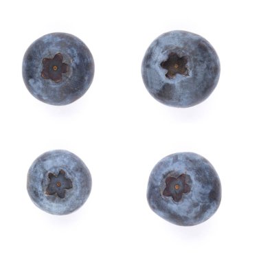 beyaz zemin üzerine taze yaban mersini.