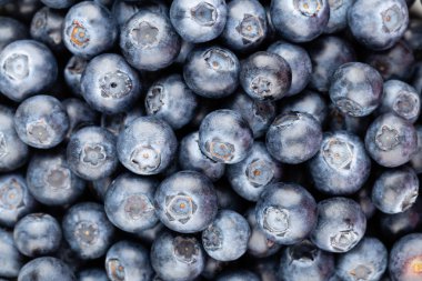 Taze yaban mersini arkaplanı. Doku yaban mersini yakından geliyor..