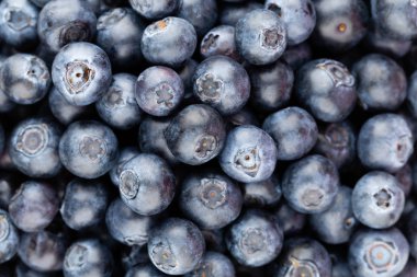 Taze yaban mersini arkaplanı. Doku yaban mersini yakından geliyor..