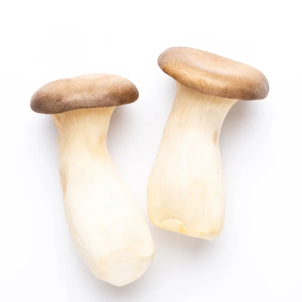 King oyster mushroom on white background. — Stock Photo, Image