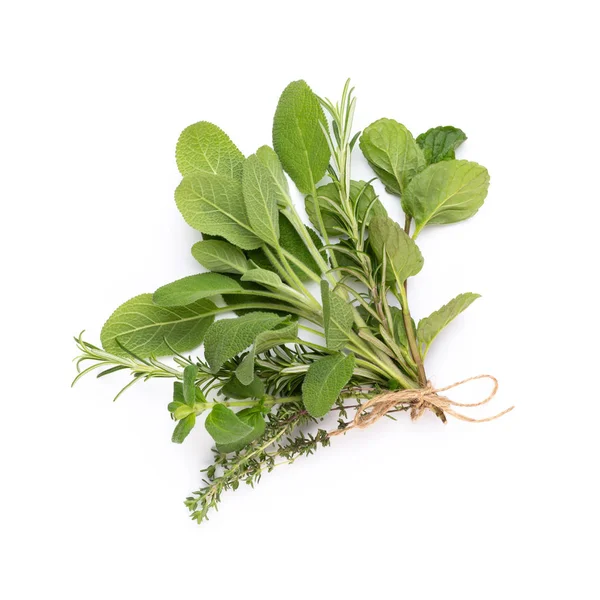 Spezia foglie di erbe e peperoncino su sfondo bianco. Vegeta — Foto Stock