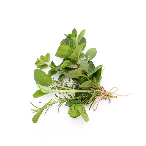 Krydda örtblad och chilipeppar på vit bakgrund. Grönsak — Stockfoto