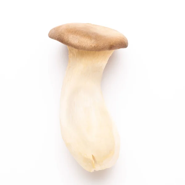 King oyster mushroom on white background. — Stock Photo, Image