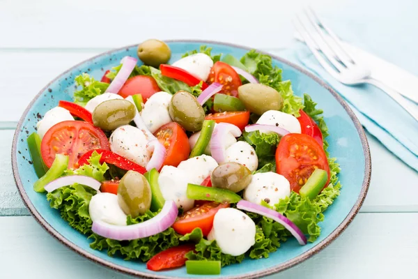 Vegetable salad with cheese mozzarella, tomatoes, basilikum and — Stock Photo, Image