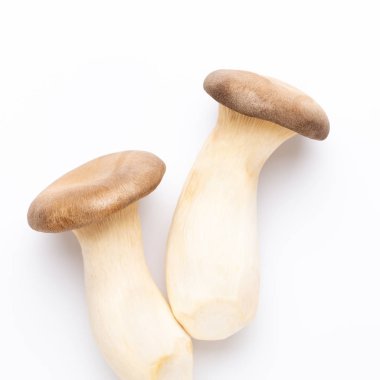 istiridye mantar beyaz zemin üzerine Kral.