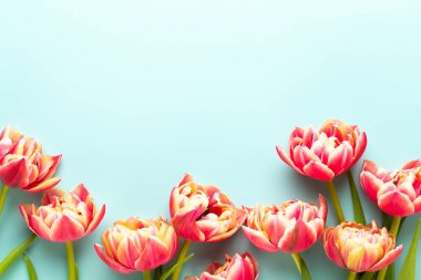 Bahar çiçekleri, pastel renkler zemin üzerine lale. Retro vintag