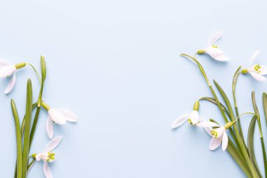 Taze kardelen metin için yer ile mavi arka plan üzerinde. Bahar g