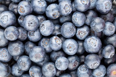 Taze yaban mersini arkaplanı. Doku yaban mersini yakından geliyor..