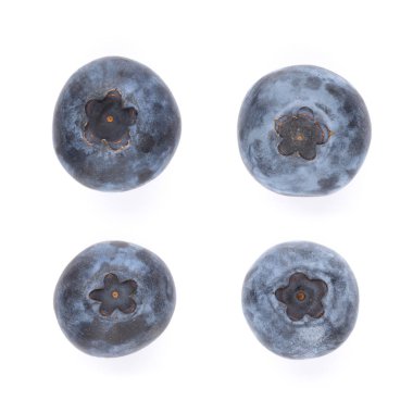 beyaz zemin üzerine taze yaban mersini.