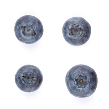 beyaz zemin üzerine taze yaban mersini.