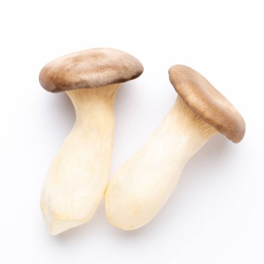 istiridye mantar beyaz zemin üzerine Kral.