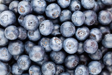 Taze yaban mersini arkaplanı. Doku yaban mersini yakından geliyor..