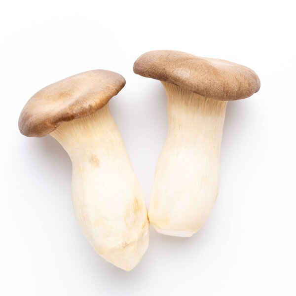 King oyster mushroom on white background.