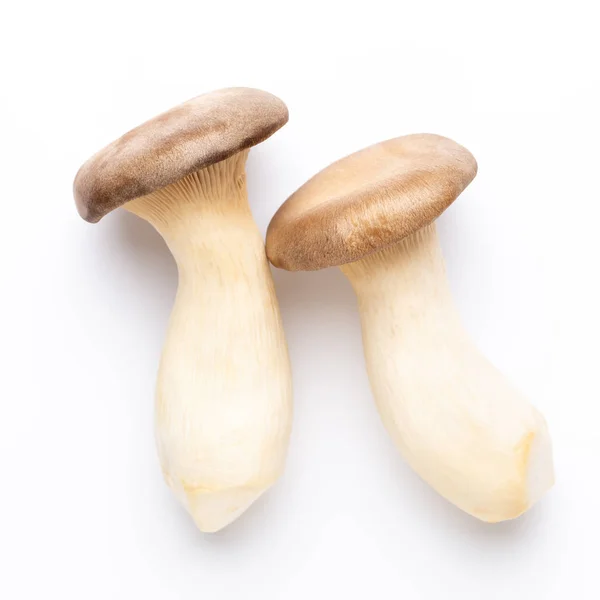 King oyster mushroom on white background. — Stock Photo, Image