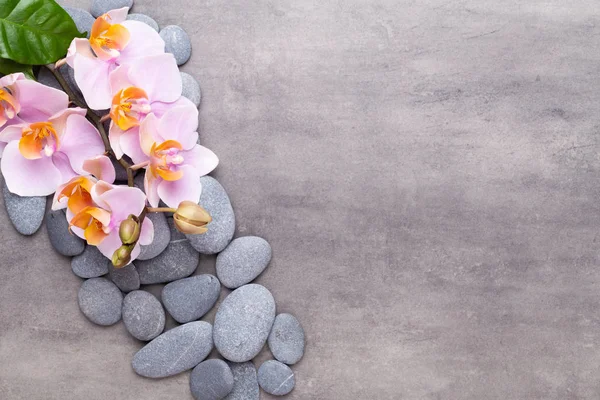 Orchidea szépség virágok vintage háttér. Spa háttér, spa — Stock Fotó