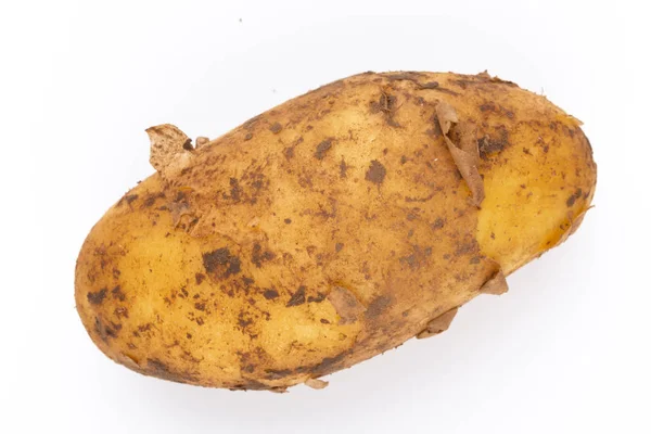 Beyaz arka plan üzerinde izole genç patates. Yeni hasat. Düz yatıyordu