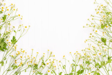 Papatya çiçek çiçek çerçeve. Düz döşeme, üst görünüm.